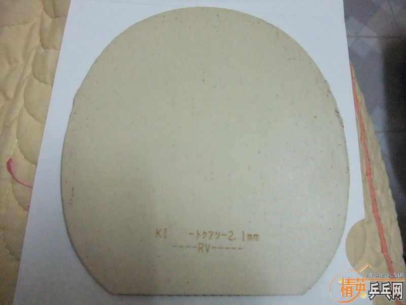 �� �������BRYCE(��ɫ�����)�׽�=220(�����)