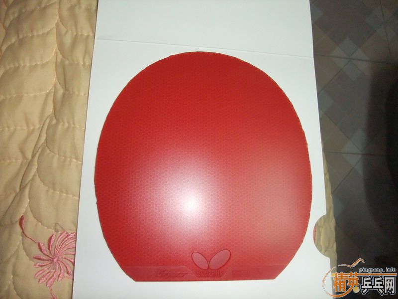 �� �������BRYCE(��ɫ�����)�׽�=220(�����)