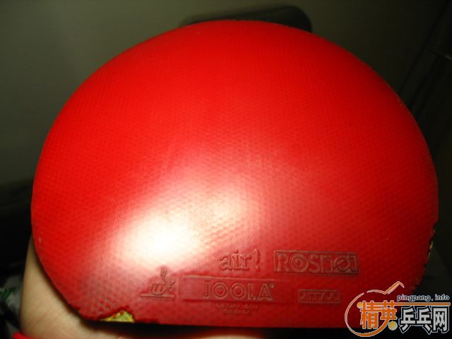 ���ѷ���������Ƥһ�ѣ�����ʡ���޻����ɵ±�����F1��joola�ȵȵȵȣ�����������������������������������������ƷŶ����������������������