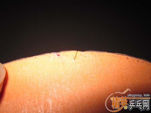 ����档����ɫ����LT SOUND�����������SPEED FX.....