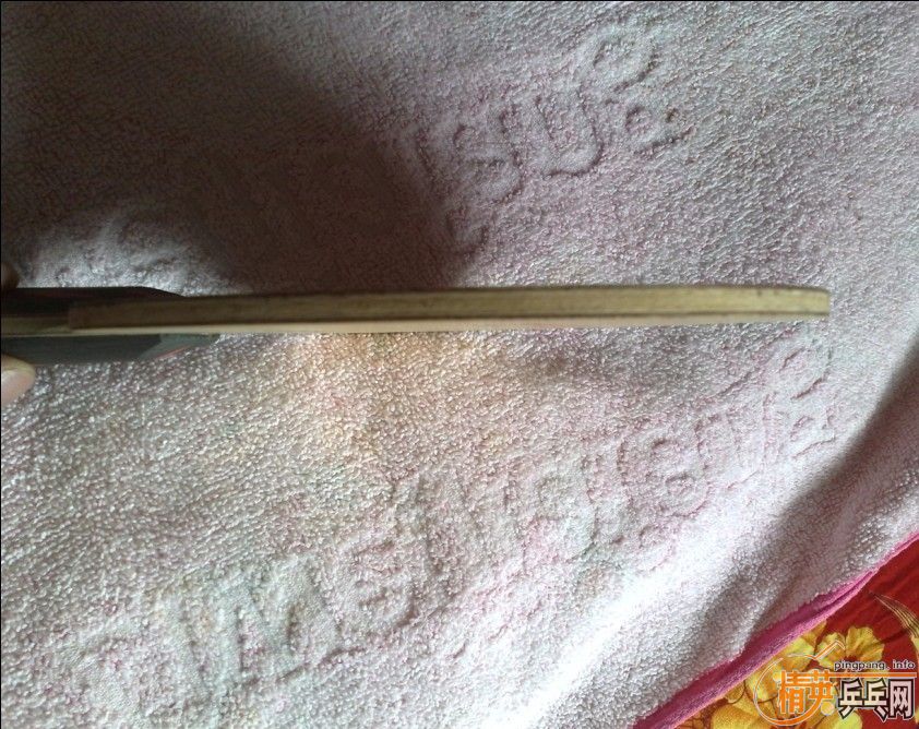 ��һ��YE��һ�鰮��רҵ5��