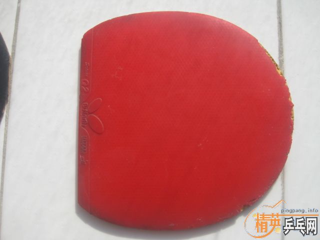 ���۳��׽����������־�����