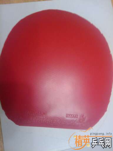 �����ƺ���HINOKI  SHAKE  SWIFT  ���������쳵һ��  ������X