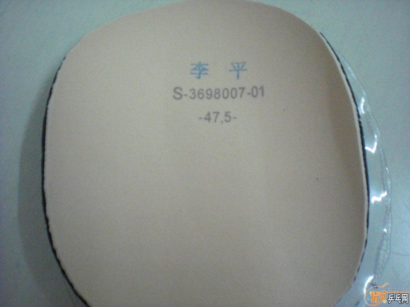 ���Ҷ���ƽ���ƶ����S1һ��