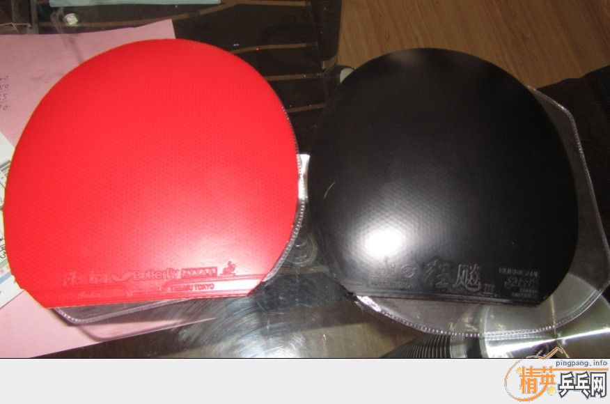 EG �����׽�����