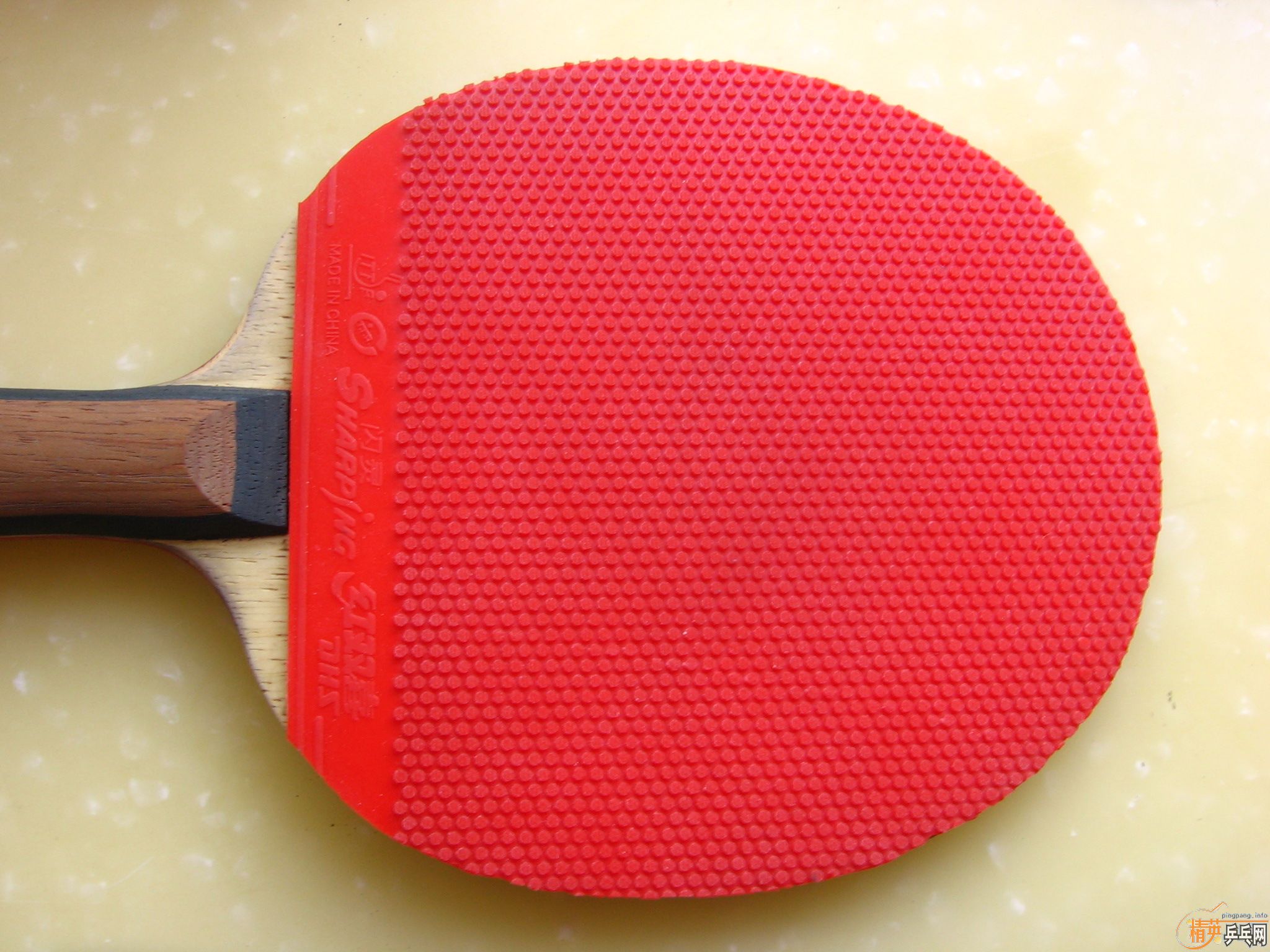 ˫ϲ��������  XIOMŷ����2   joola̽�� �ɳ��ɻ�