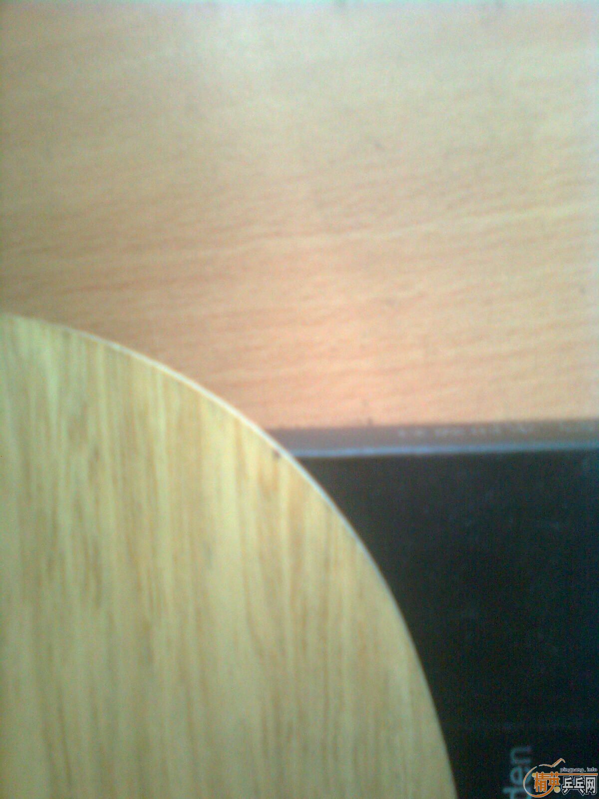 ��hammond ��