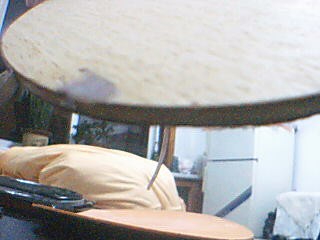 ��������С�Ա����*****��ľ***********