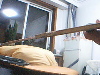 ��������С�Ա����*****��ľ***********