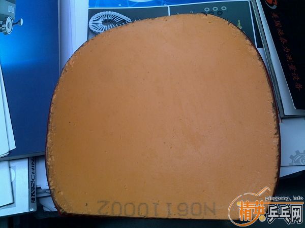 nittaku �������pro�����Ϻ��ࣨ�ż̿ƣ����򡣴��100������07�����1��-->wangyize159ת��