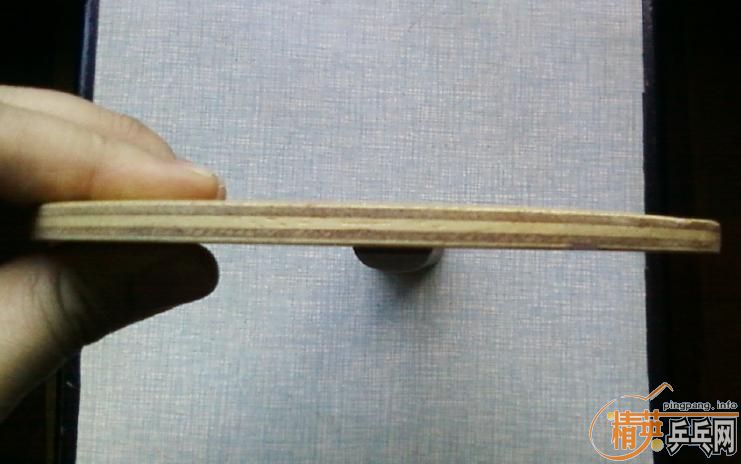 ֧����,����ͼ.���ִ���FL,450�ͽ�Ƥ����