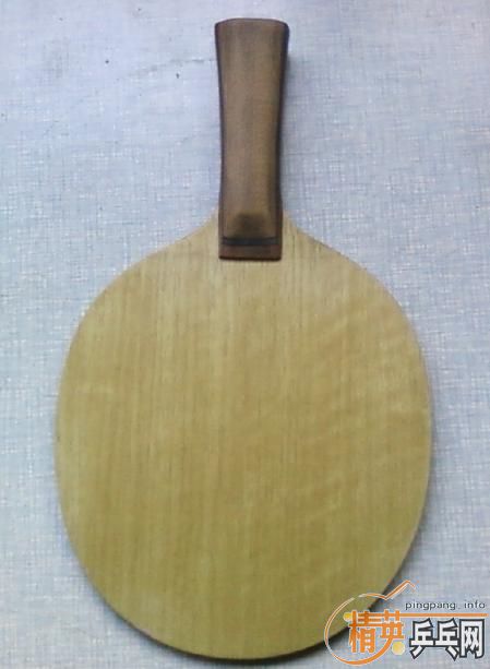 ֧����,����ͼ.���ִ���FL,450�ͽ�Ƥ����