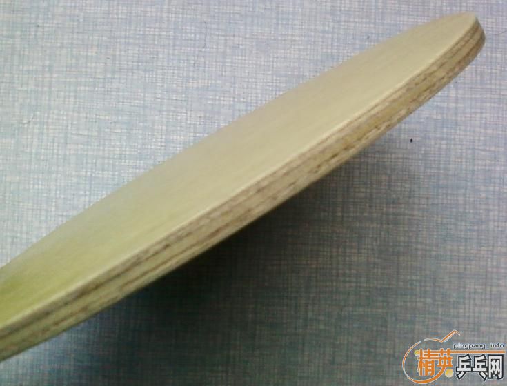 ֧����,����ͼ.���ִ���FL,450�ͽ�Ƥ����