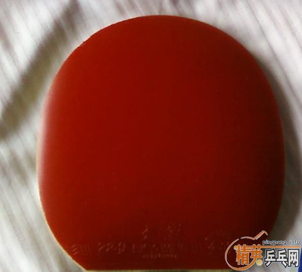 ֧����,����ͼ.���ִ���FL,450�ͽ�Ƥ����