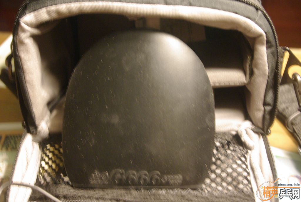 zwXRpRH6.jpg