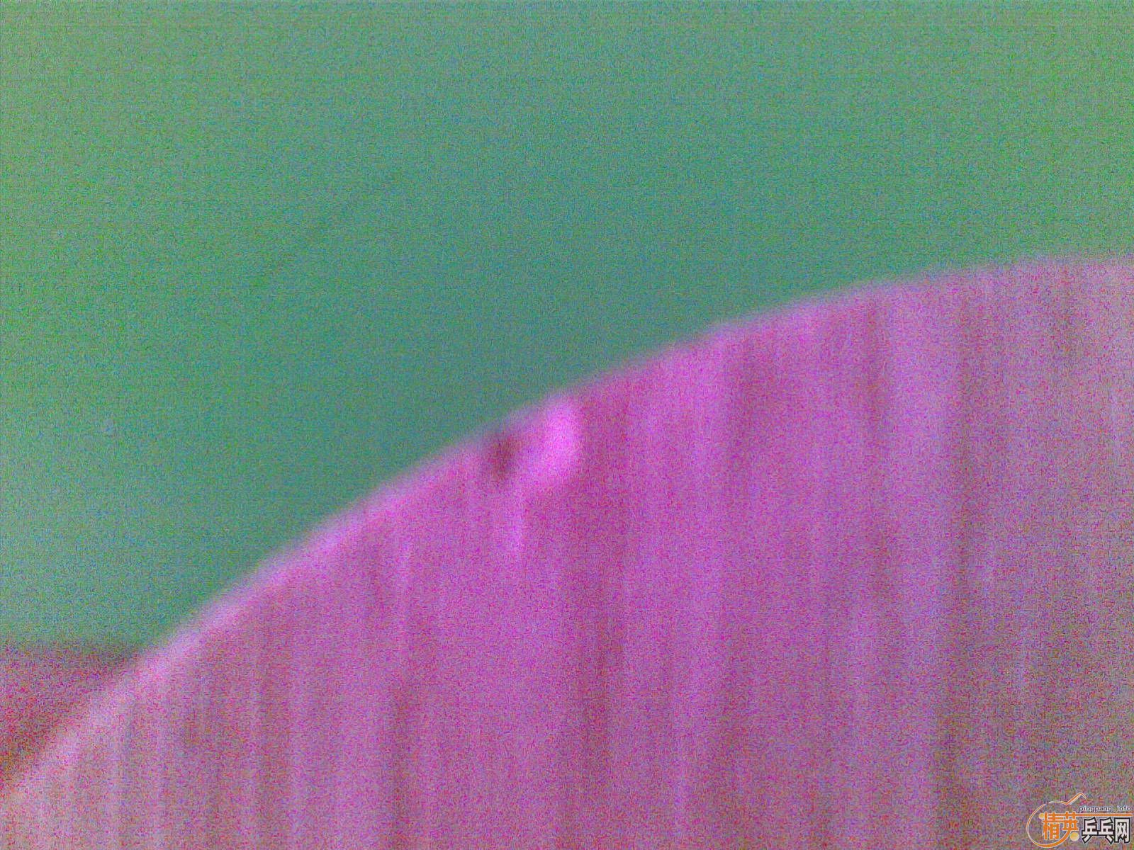 ����ֻ��CL��TO