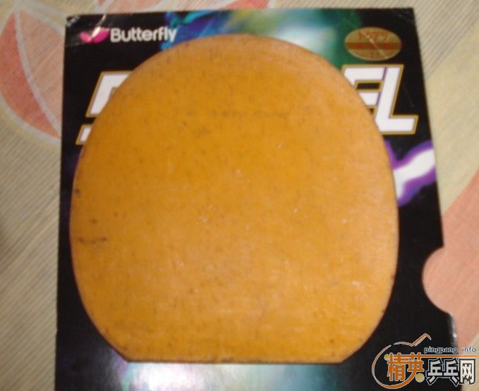 ���ѳ�ϵ���׽�