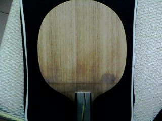 [ԭ��]248Ԫ��YEO�����Ի�Ti5.4��������OC��YE