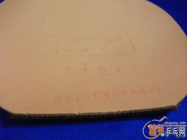 ������JOOLA  K5���һֻ