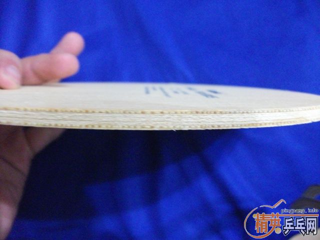 ������JOOLA  K5���һֻ