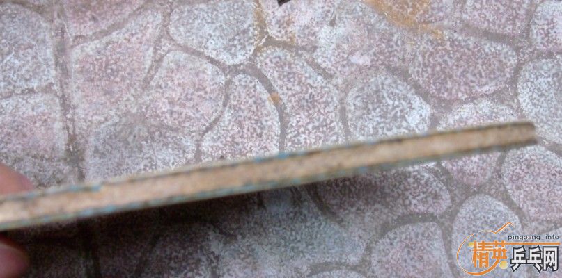 ������timo boll alc