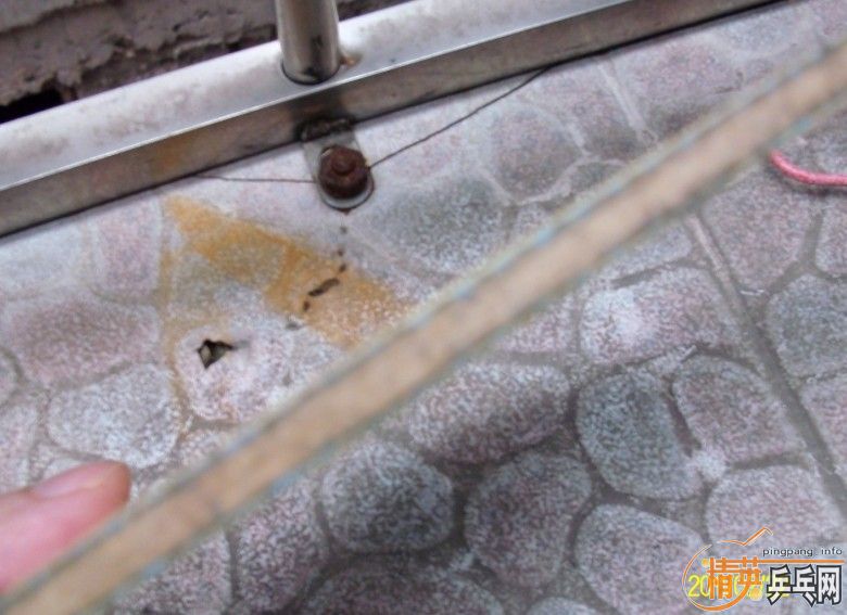 ������timo boll alc