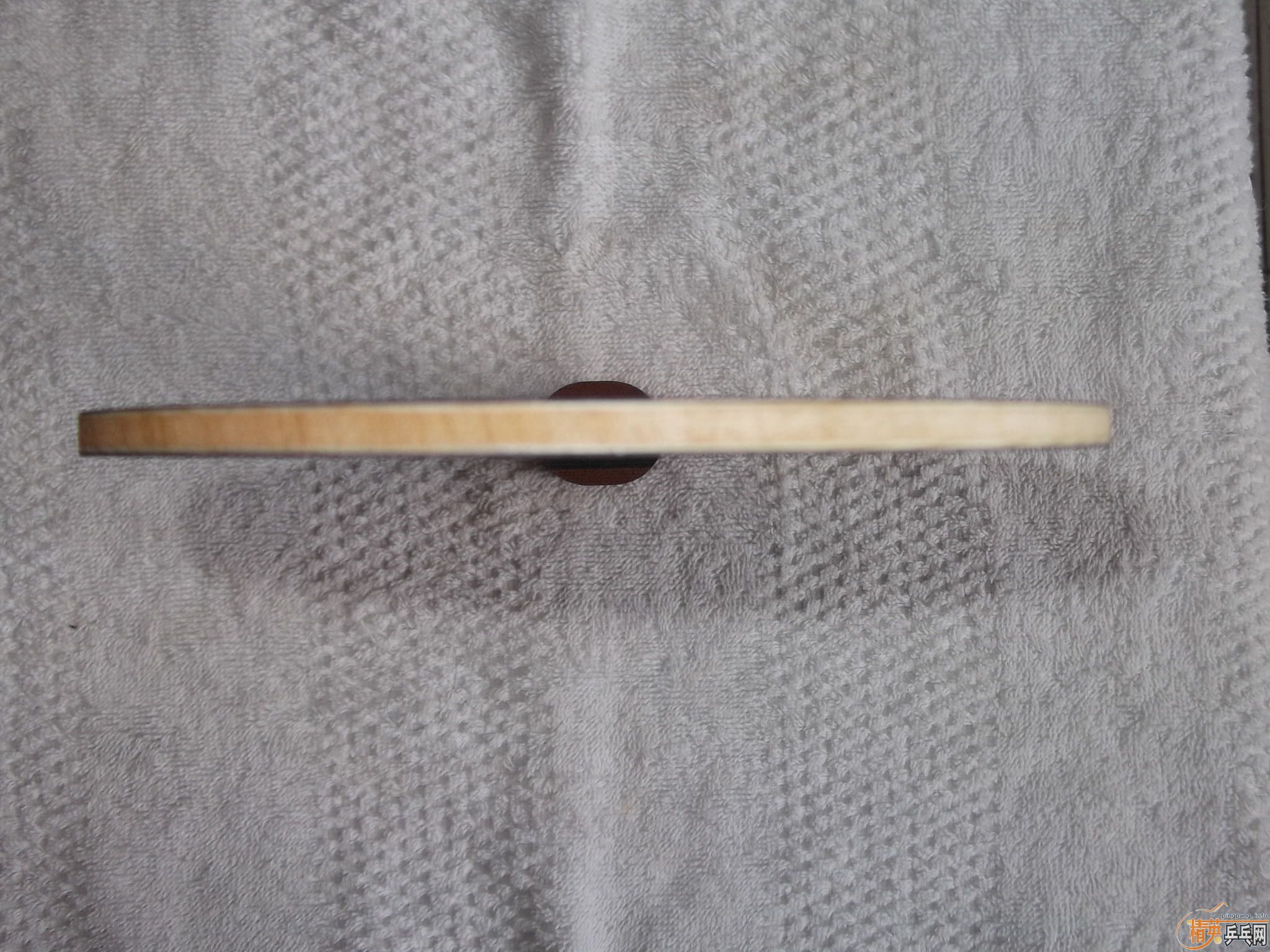 ���������׽�OC  FL  �л� 280Ԫ����  ֧��֧����