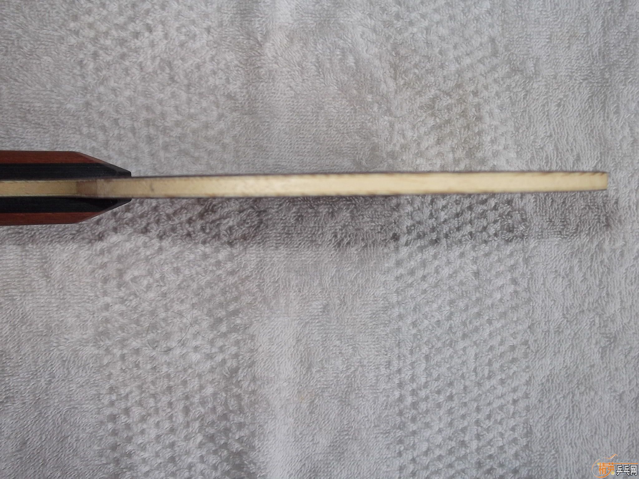 ���������׽�OC  FL  �л� 280Ԫ����  ֧��֧����