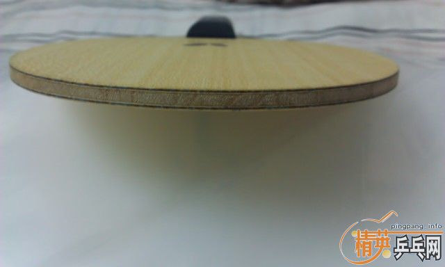 ���鲨��ALC������������