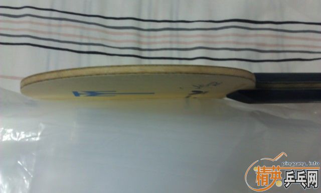 ���鲨��ALC������������