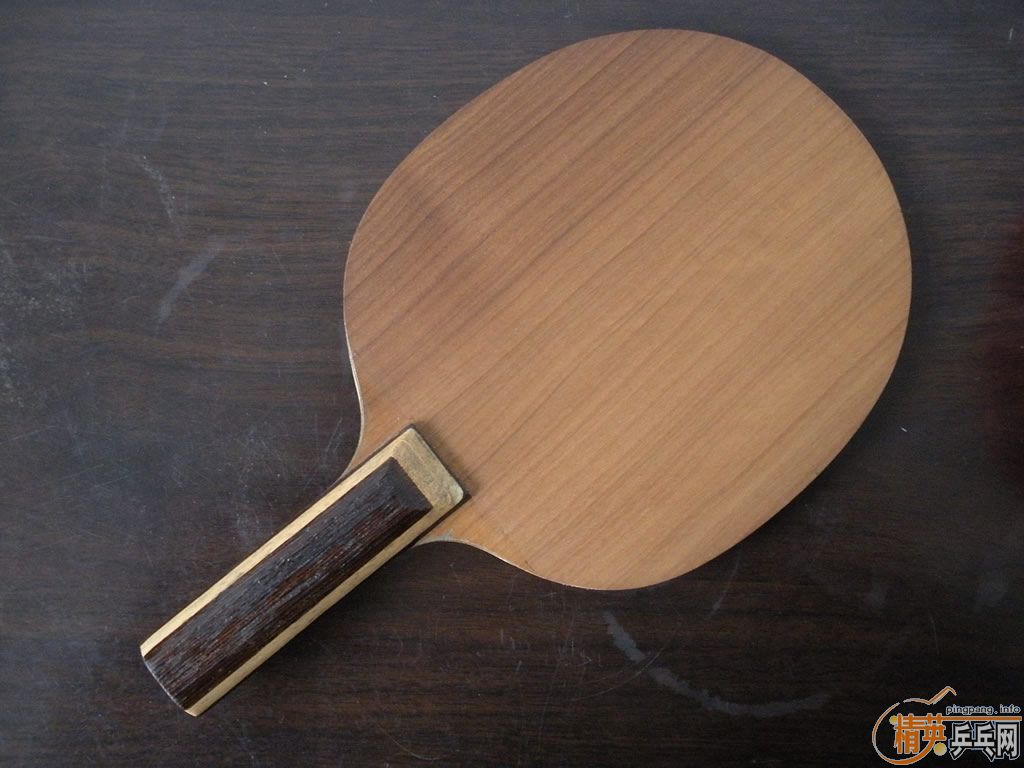 ֧��������ݳ�Nittaku Rutis ST 380Ԫ