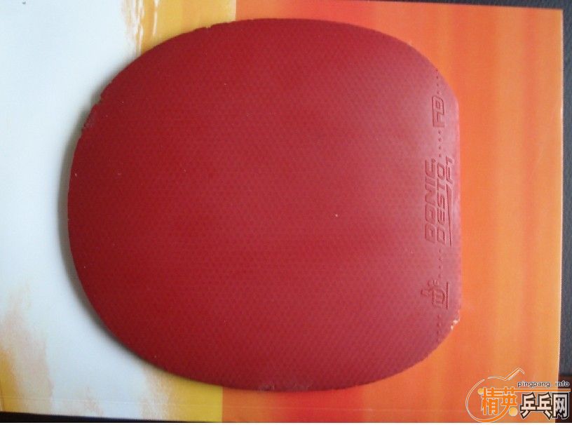 ������������װ壨�����Palio TNT�����۸�ʵ�ڵ����ˣ�����������40��������100��֧�������ף�������