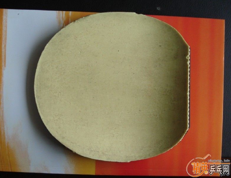 ������������װ壨�����Palio TNT�����۸�ʵ�ڵ����ˣ�����������40��������100��֧�������ף�������