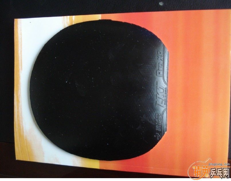 ������������װ壨�����Palio TNT�����۸�ʵ�ڵ����ˣ�����������40��������100��֧�������ף�������