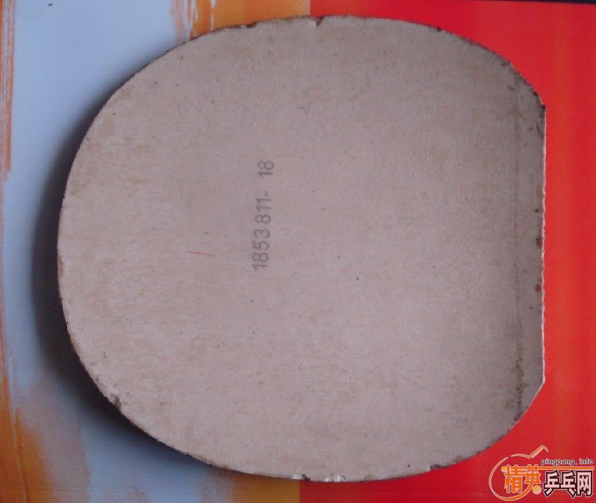 ������������װ壨�����Palio TNT�����۸�ʵ�ڵ����ˣ�����������40��������100��֧�������ף�������