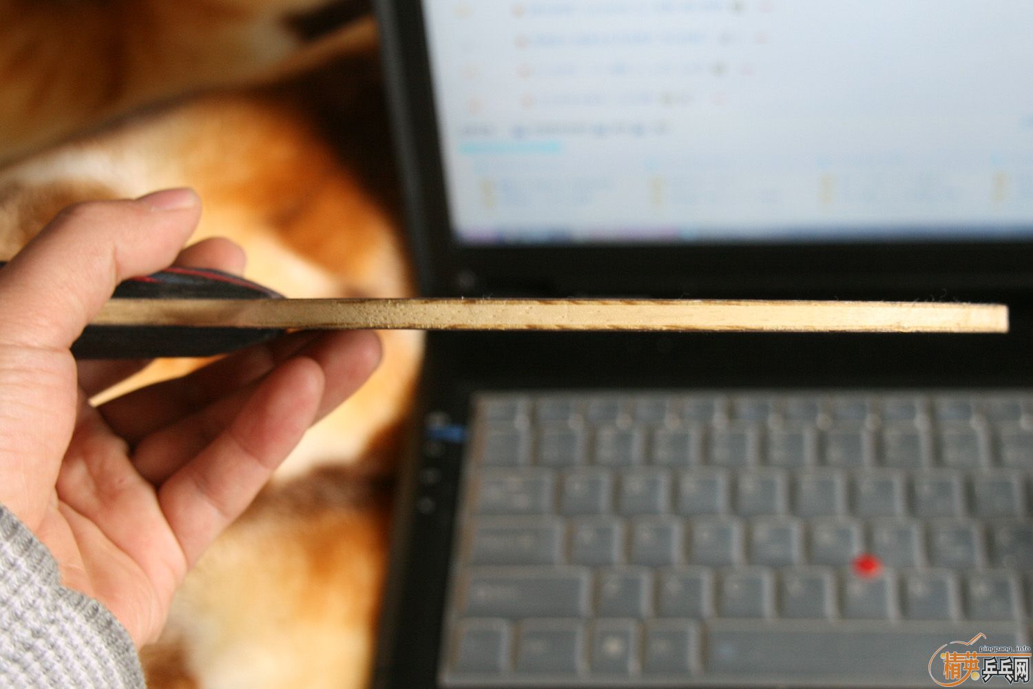 ��֧����������9����ŷ������OC����Ҫ�����Ѳ�Ҫ������