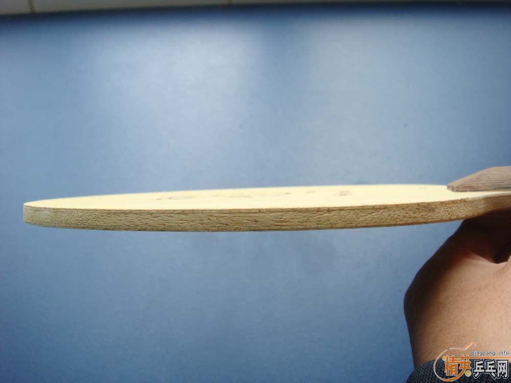 [�Ƽ�]���Ʊ����������