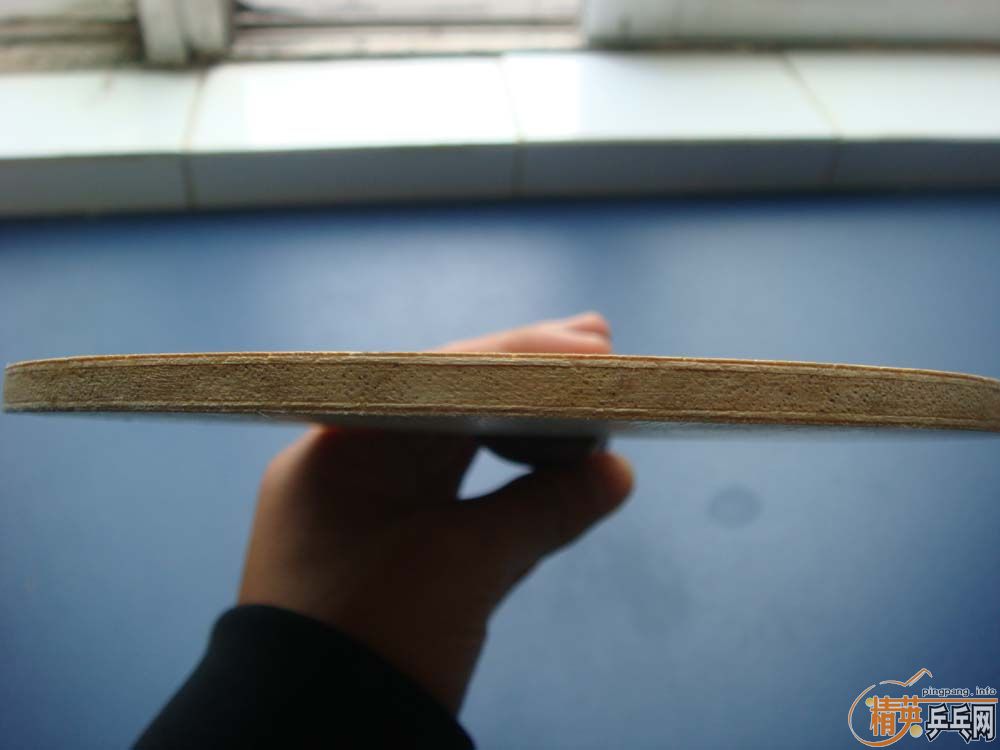 [�Ƽ�]���Ʊ����������