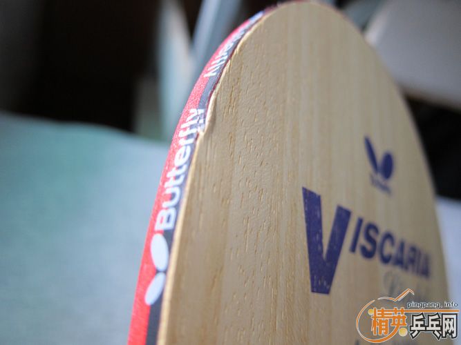 VISCARIA-LIGHT ���ͺ����� ���� ��������