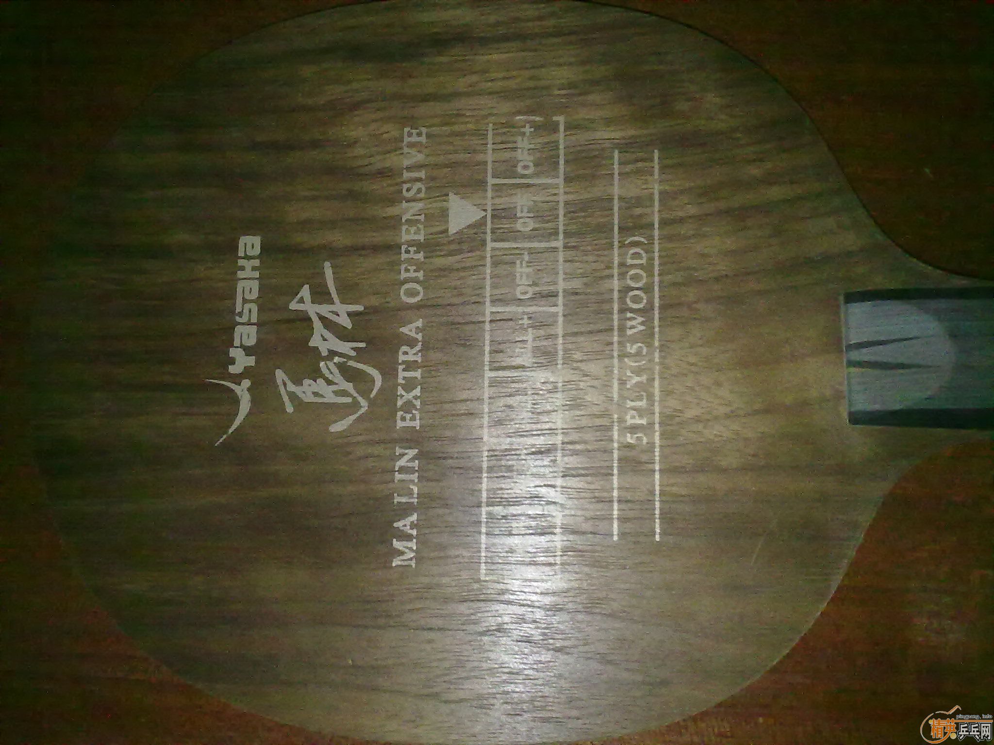 ��������YEO�����.