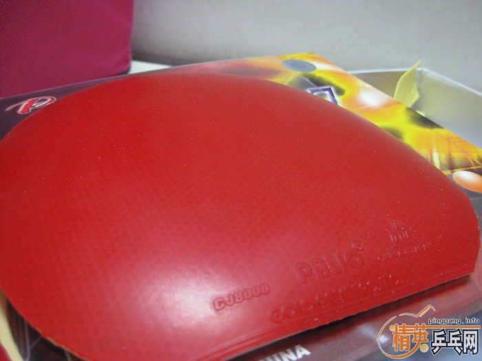 ����ʡ�� CJ8000 ��2  ֧����