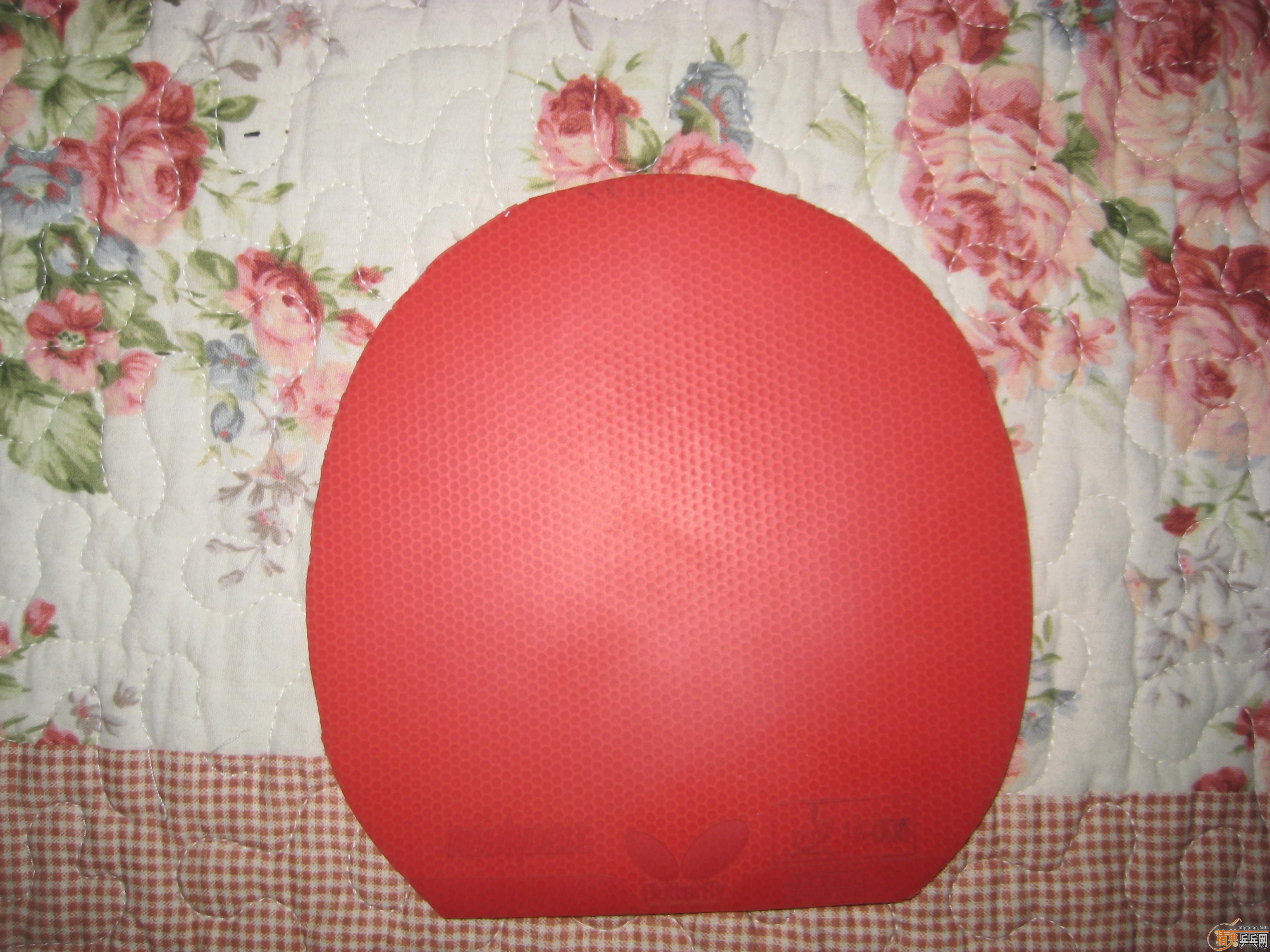 �������ͻ���AN������ZLF�����ó�������һ������̼�ײ˼�