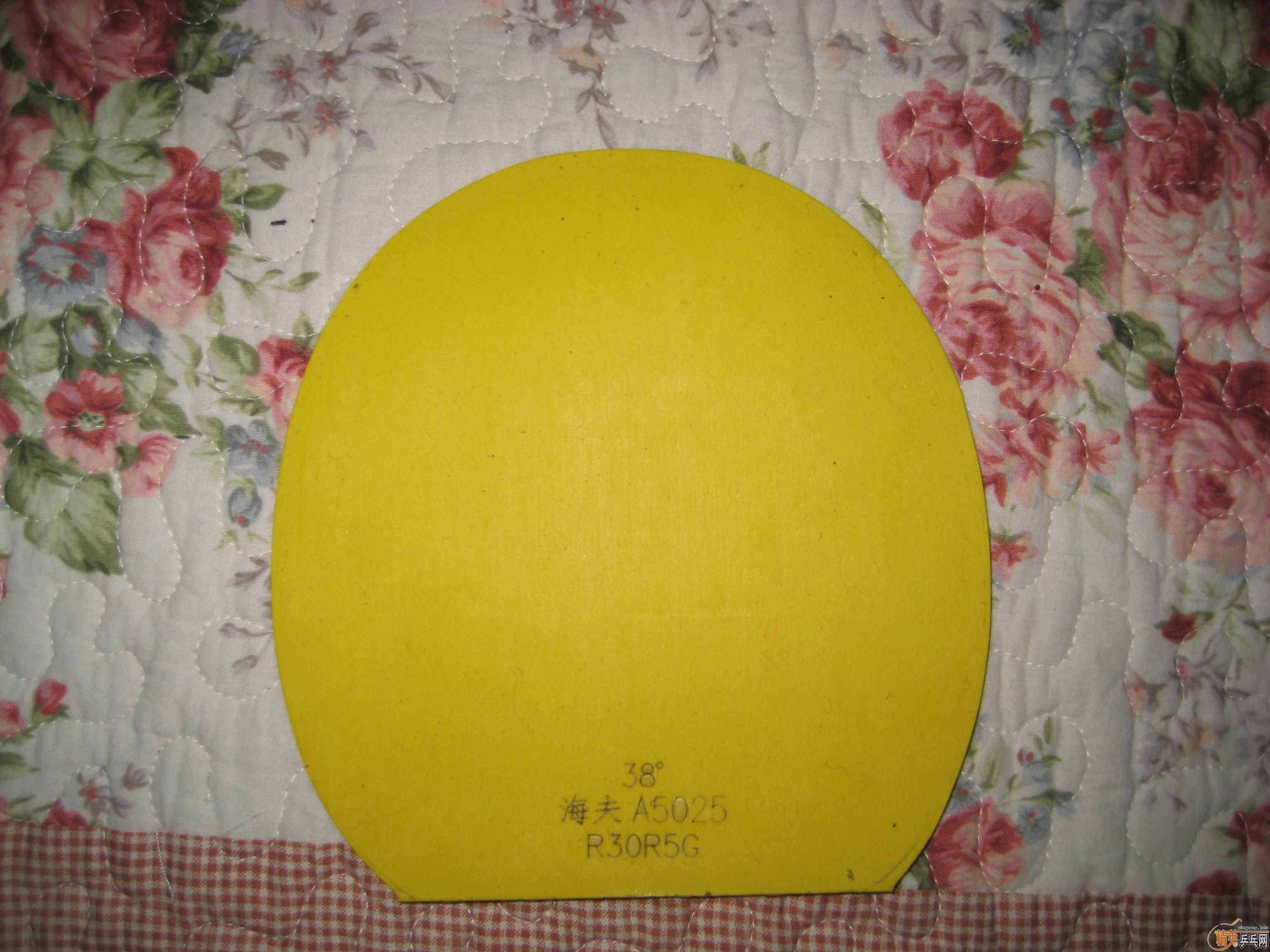 �������ͻ���AN������ZLF�����ó�������һ������̼�ײ˼�