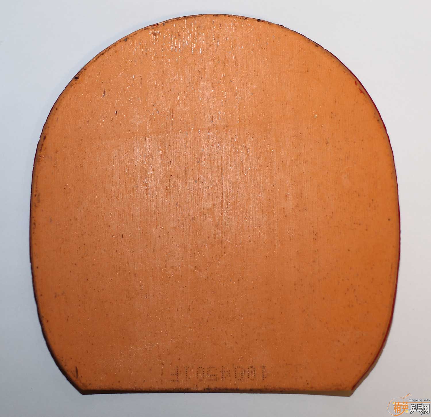 ʡ���տ�������