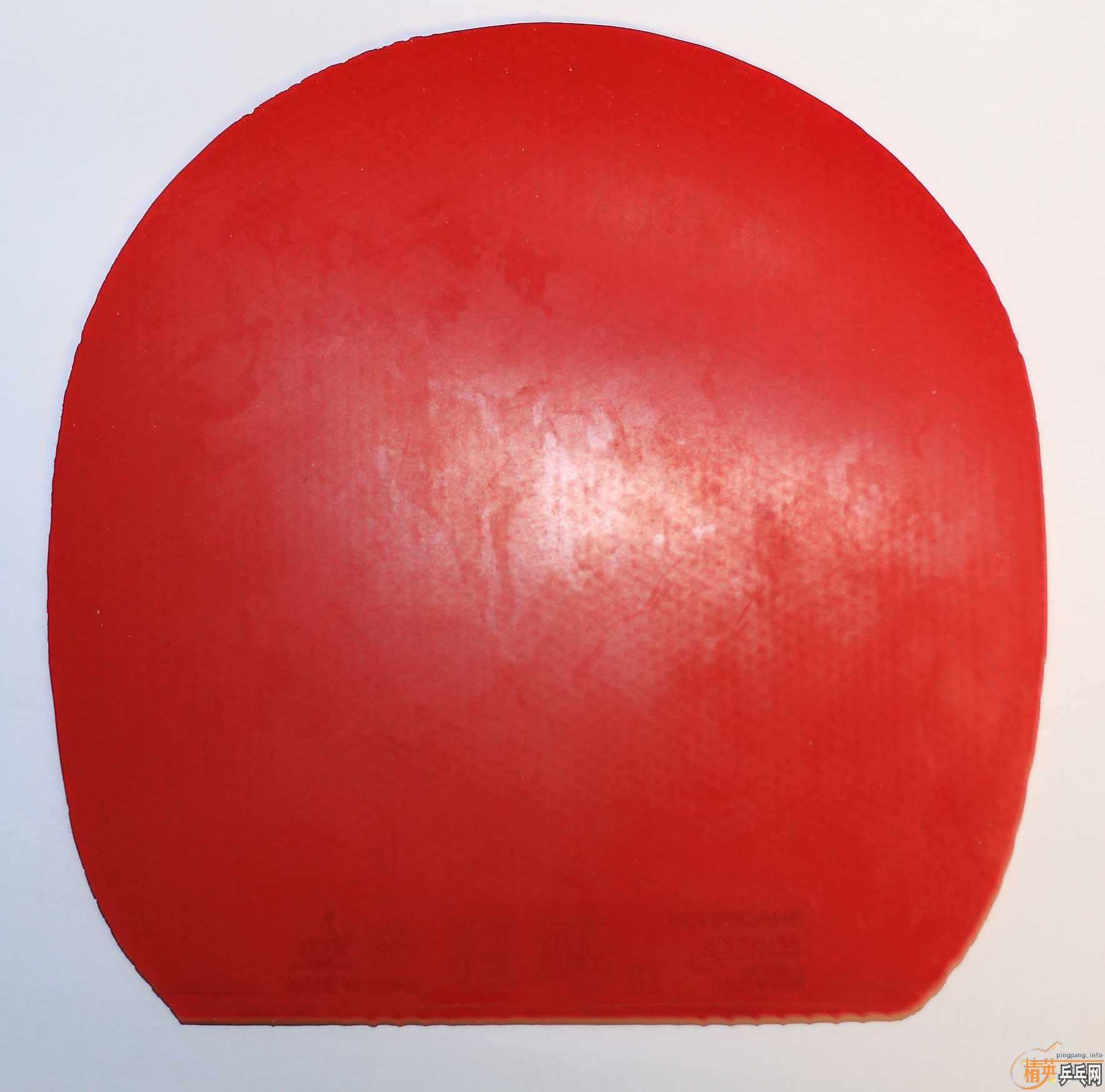 ʡ���տ�������