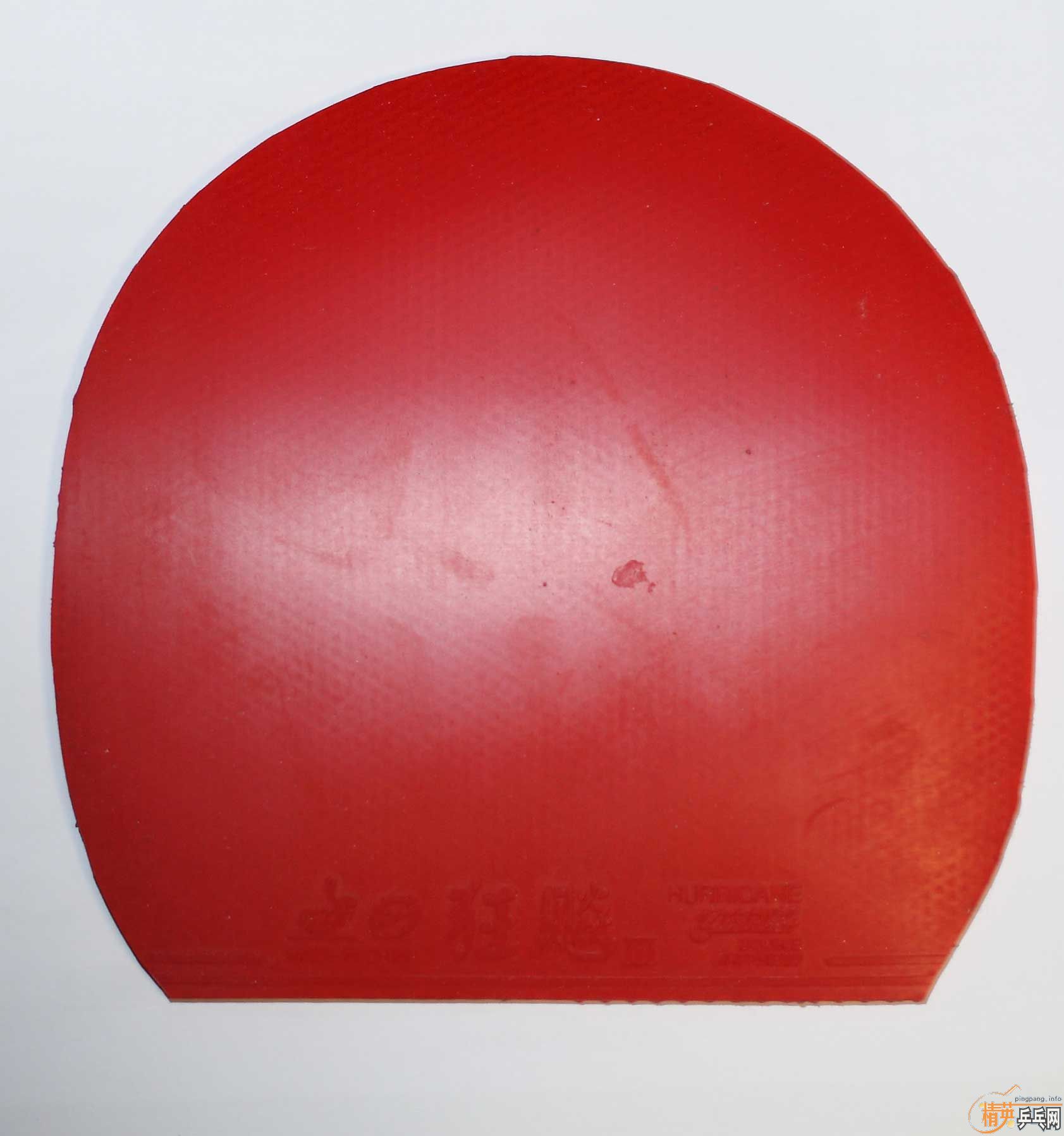 ʡ���տ�������