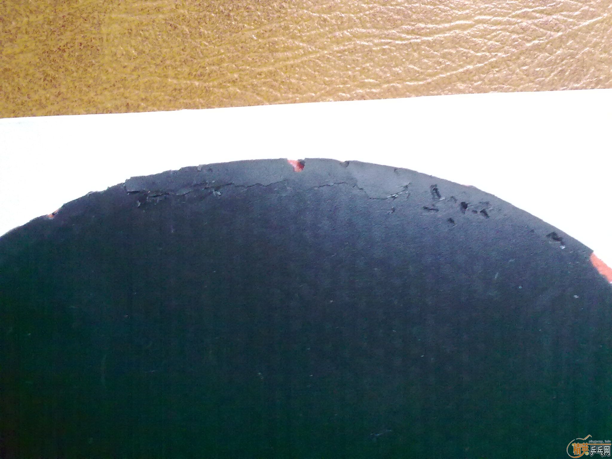 ======�����Ʒ����9�º���T64======