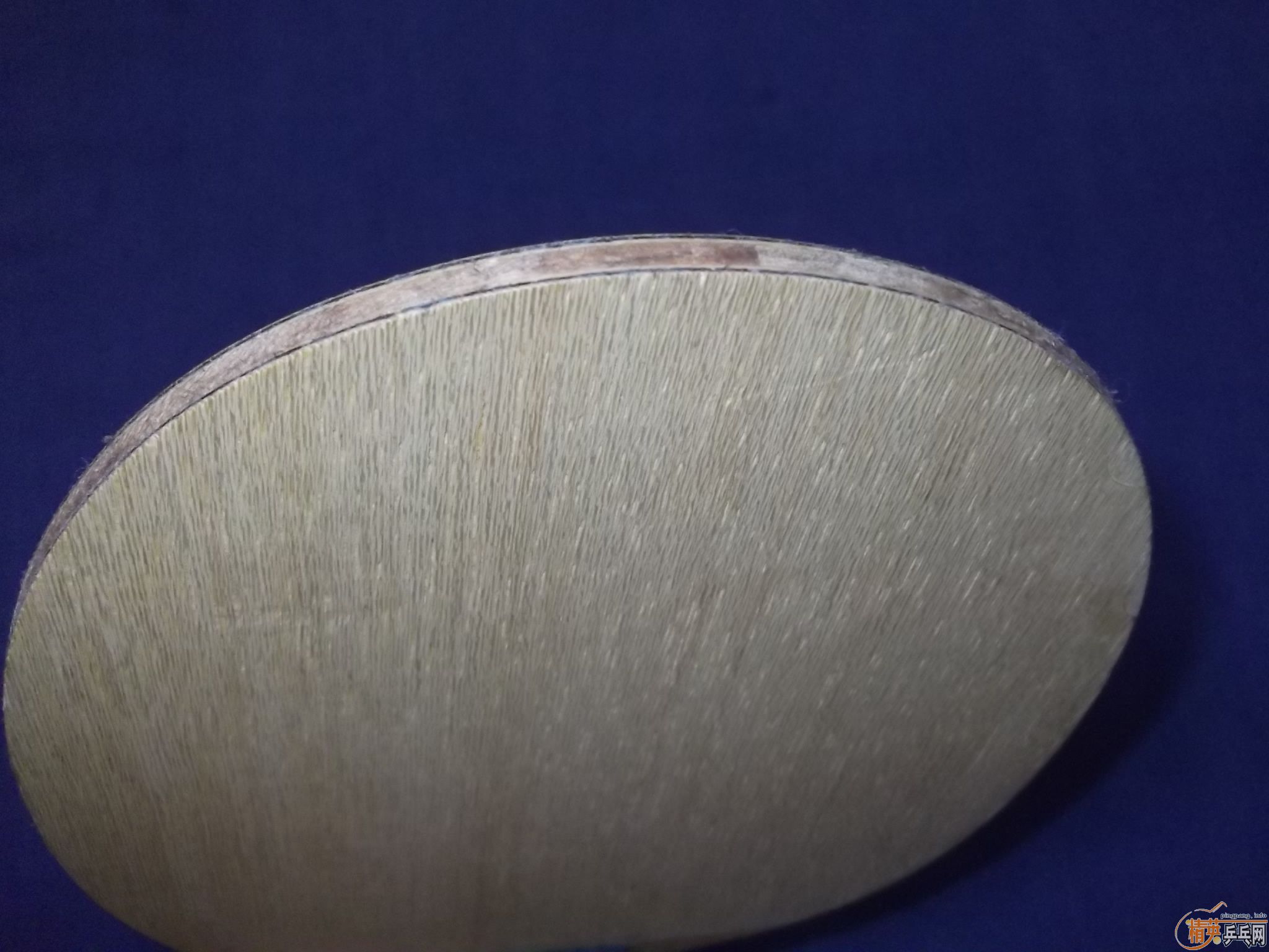 BOLL   ST  660Ԫ˳ ֧֧