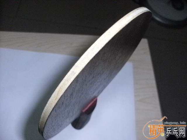 �����˫���������ͣ�FL������nittaku anv wl�ṹһ������250���ʣ�