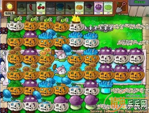 [ע��] �� /������/��/FL ST/NEW��/   ����